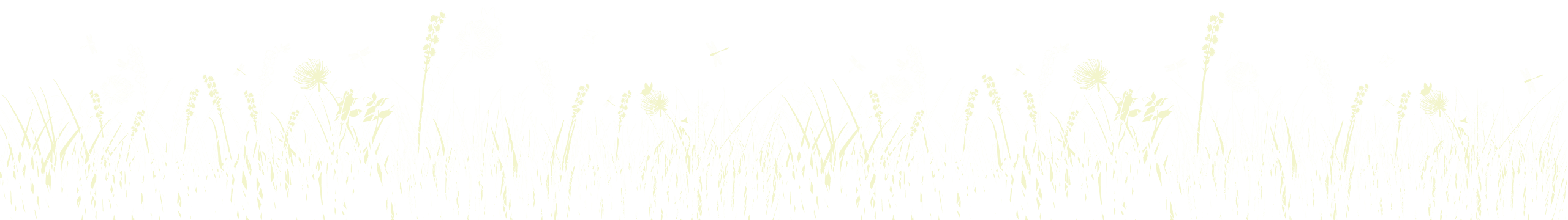 Bubolz white grass background_01