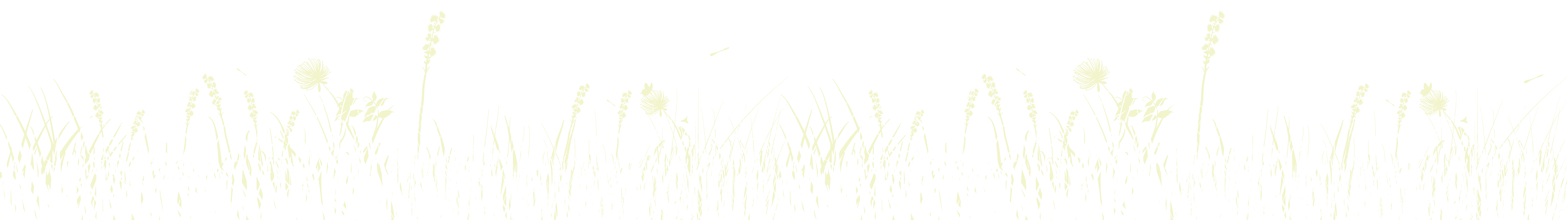 Bubolz white grass background_01
