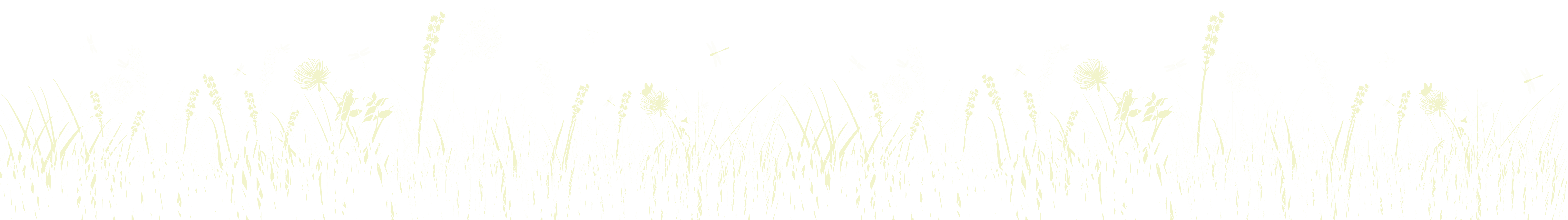 Bubolz white grass background_01