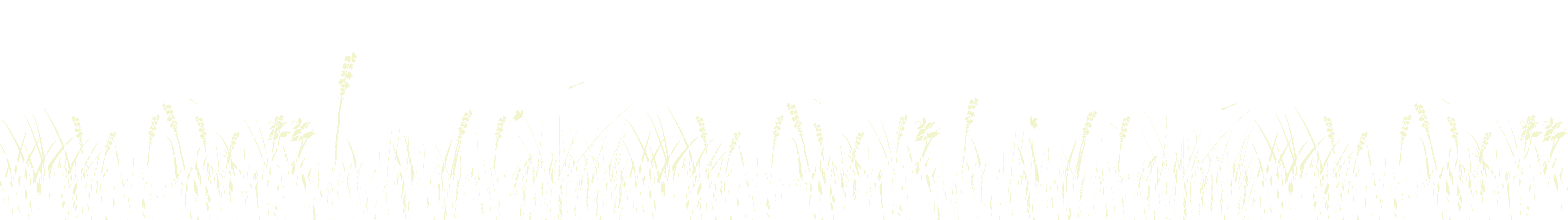 White and green prairie grass graphic element