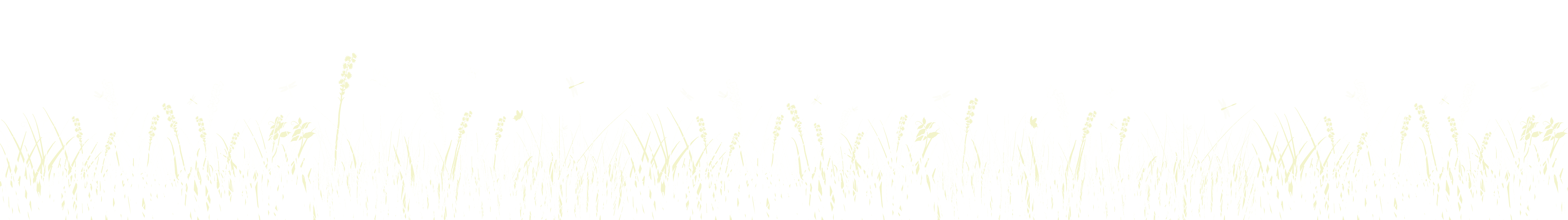 White and green prairie grass graphic element