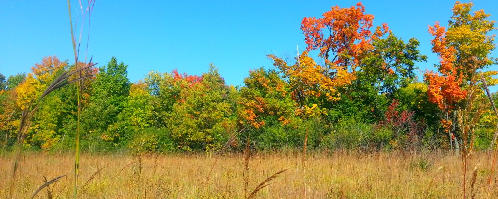 fall prairie landscape