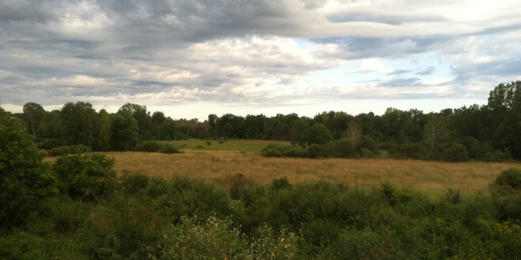 Marsh View Clouds August 2011 Jim-crop