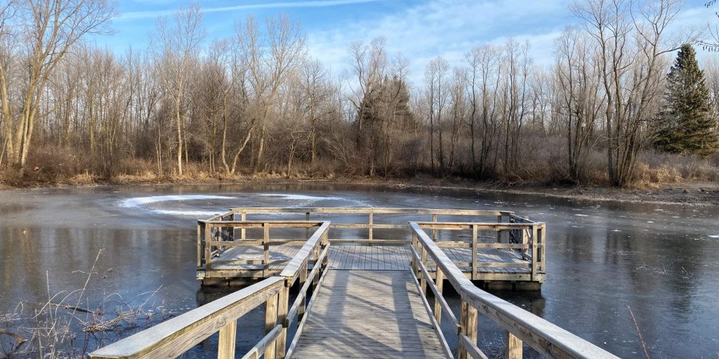 winter-pond