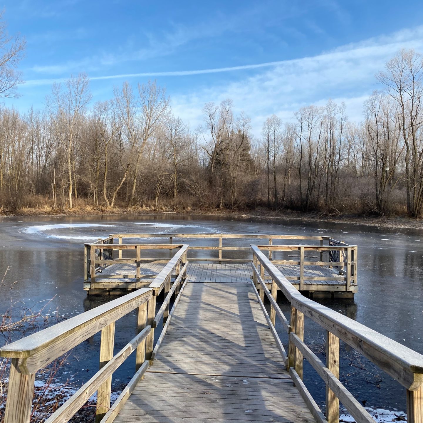 winter-pond